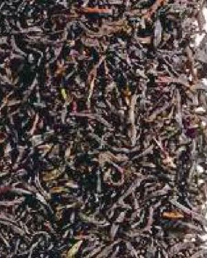 EARL GREY EXCELSIOR 22558
