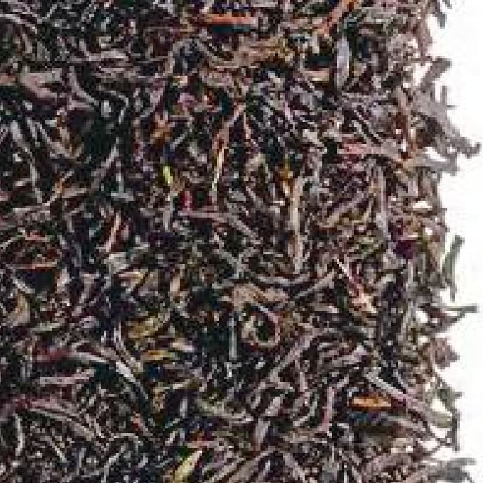 EARL GREY EXCELSIOR 22558